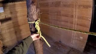 Daisy Chain Hitch  |   Arborist Knots: Rigging