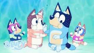 La piscina - episodio completo  | Bluey Canal Oficial en Castellano