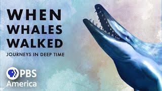 When Whales Walked: Journeys in Deep Time (FULL SPECIAL) | PBS America