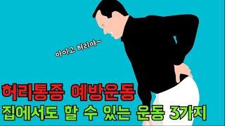 허리 통증 예방 운동 3가지