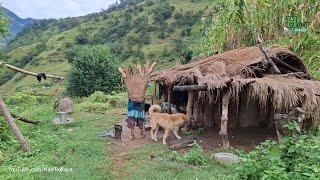 Very Relaxing Nepali Mountain Village Life | Daily Activities of Hari Rokaya Village People | #Hari