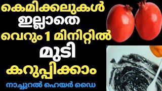 വെറും 1 മിനിറ്റിൽ കെമിക്കലുകൾ ഇല്ലാതെ മുടീ കറുപ്പിക്കാം/100% Natural Hair Dye Malayalam