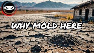 What's Causing Mold and Moisture Issues in Dry Climate Homes