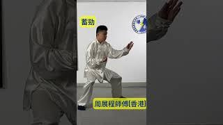 近鏡示範太極拳如何發勁,蓄勁和收氣 Tai Chi Energy Transforming