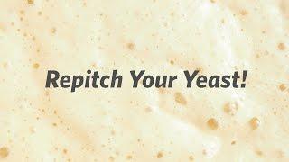 Repitch Your Yeast - Craft Brewing™