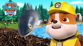 Кученца помагат на рибките да преодолеят язовира Бийвър! - PAW Patrol Bulgarian - карикатури за деца