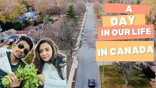 DJI Neo Drone Shots,Fried Fish & Dentist Visit | A Day in Our Life in Canada