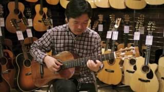 Jack Spira JS-Ditson Dolphin Guitars - Player 古川忠義