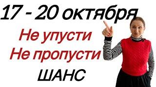  17 - 20 октября  НЕ УПУСТИТЕ не ПРОПУСТИТЕ…. Розанна Княжанская