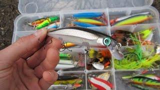 5 best pike lures