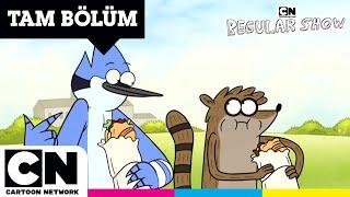 SÜREKLİ DİZİ | Yemek Molası | TAM BÖLÜM | @cartoonnetworkturkiye