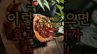 고구마 이렇게 먹으면 효과 두배가 됩니다.#건강 #꿀팁