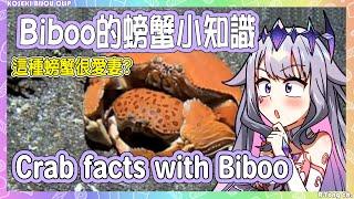 【Koseki Bijou】Fun facts of Crab with Biboo!【Hololive En】