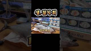 생 참치 대박 현장! 세상에 이렇게 다 준다고? 택배 가능! 긴급 공개! #노량진  #어시장 #수산시장 #회 #참치