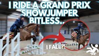 Eventing Earl: Ep 3: Can riding other horses make us better riders?