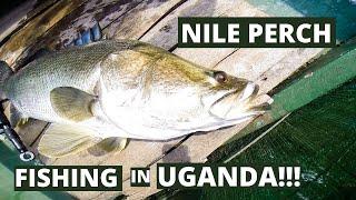 ...Nile Perch Fishing... Trip to Lake Victoria, Uganda 2014