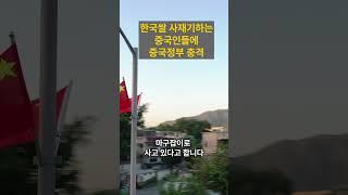 [해외감동사연] 한국 쌀 싹쓸이하는 중국인들! 중국 역사상 처음으로 한국 쌀 사재기 열풍에 중국 정부 충격받았다!