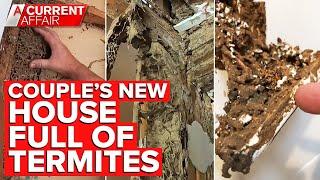 Millions of termites found in walls of couple's new home | A Current Affair