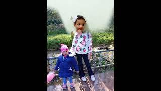 Meri pyari behna  #must watch this video #shorts #navya shah vns