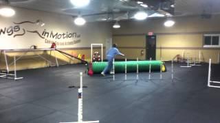 Agility Teams Training at DIM