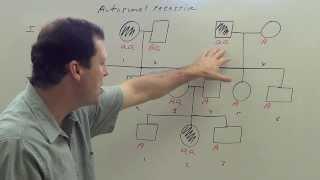 Autosomal Recessive Pedigree