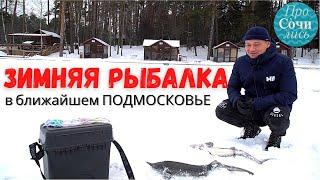 Зимняя рыбалка в Подмосковье щука форель осетр Платная рыбалка в Подмосковье 2021 Просочились