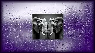 Sam Machin | "Elephants" 