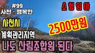 [사천토지매매]사천소형임야매물입니다.도로사정좋으며 ㆍ텃밭사용하기좋습니다#사천토지매매 #사천소형임야매매#사천땅매매