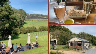 A special day for father | Lunch in winery restaurant | Gifts for Dad