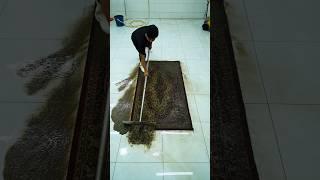 ASMR: The Most Satisfying Carpet Rescue Ever!
