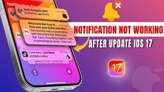 How to Fix iPhone Notification Not Working After iOS 17 Update | Notification Issue with iOS 17