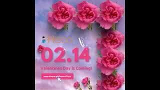 The Day of Hearts is coming! 