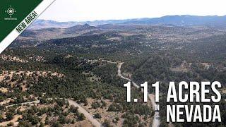 First Look: 1.11 Acres in Story County, NV | Investment Near Reno | Power Ready, No HOA!