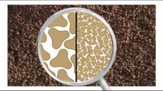 Carpet One Floor & Home Presents Tigressa SoftStyle Carpet!