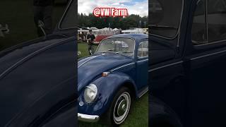 VW Beetle line up at VW Festival show and shine #VWFarm #shorts #VW #Beetle #bug #classic #carshow