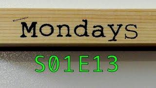Microscopic Mondays S01E13 Almond nut Graham cracker
