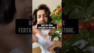 How to make a natural fertilizer for plants | creative explained