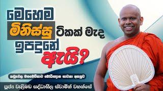 මෙහෙම මිනිස්සු ටිකක් මැද ඉපදුනේ ඇයි? | Venerable Welimada Saddaseela Thero