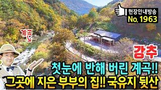 (강추) 첫눈에 반해 버린 계곡에 지은 부부의 집 전원주택 매매 국유지 6백만평 뒷산과 텃밭 넉넉한 주차공간 주택 숫자 미포함 모든 것이 힐링이 되는 정선부동산 - 발품부동산TV