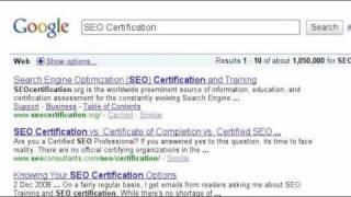 SEO Dojo Training