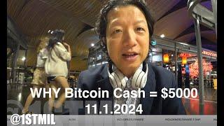 BCH Bitcoin Cash $5000 in 2024!!! Most Accurate Price Prediction EVER!!!