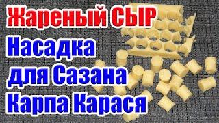 Жареный Сыр для Сазана Карпа Карася! Лучшая Насадка для ловли Сазана осенью.