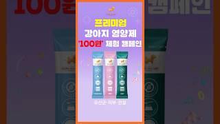 프리미엄 강아지 영양제 '100원' 체험 캠페인