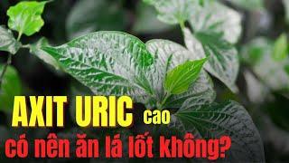 Axit uric cao có nên ăn lá lốt không? | Báo Lao Động