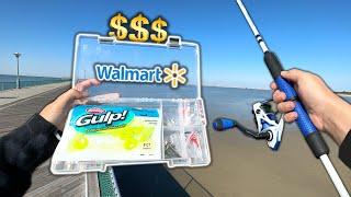 The MOST EXPENSIVE Walmart Saltwater Fishing Kit!! (Fishing Challenge)