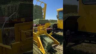 How to stack hay bales the easy way. #balinghay #farming #tractor  Bales Hay Sales. 623-386-2988