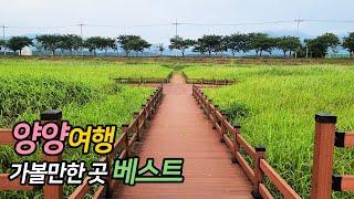 양양 여행 가볼만한 곳 베스트