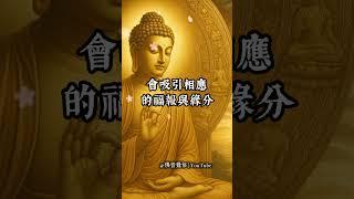 佛語開示：讓心柔和，福氣自來#佛音覺悟 #佛語心靈 #心柔氣和 #佛法療癒 #每日佛語 #正能量語錄 #修心養性 #南無阿彌陀佛