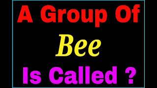 A group of Bee is called | collective noun of Bee