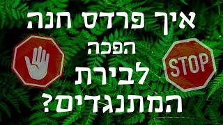 איך פרדס חנה הפכה לבירת המתנגדים?